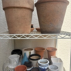 鉢植え　お好きなだけどうぞの画像