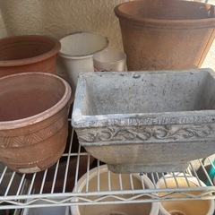 鉢植え　お好きなだけどうぞの画像