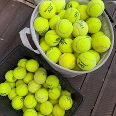 中古　テニスボール
の画像