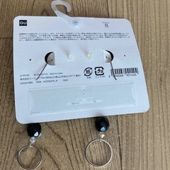 ピアス2種の画像