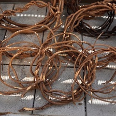 自然のリース　8個と木蓮の枝　オブジェ　インテリア　飾り　ハンドメイド作品作りに！の画像