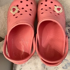 クロックスもどき   20cmの画像