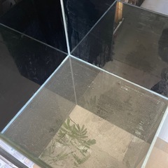 シンプル45キューブ水槽+自作の水槽台の画像