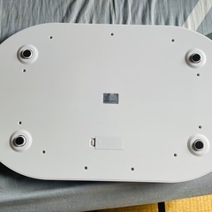 ベビースケール (新しいもの)の画像