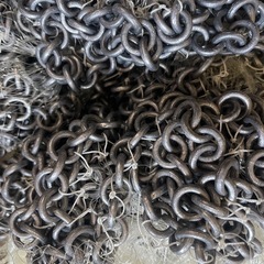 投網 川 魚 網の画像