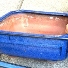 盆栽鉢4点　植木鉢　　の画像