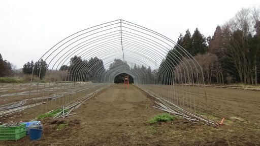 福島県発 3棟目ラスト 中古のビニールハウス 約50m 解体中です たぶんバラシっぱなしになります 中古品 現状品 引き取り限定