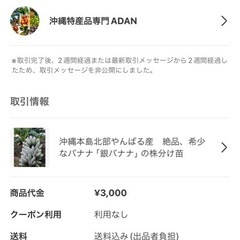 【取引終了しました】銀バナナ（苗）の画像