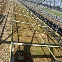 植物を育てるためのベンチや棚の台の画像