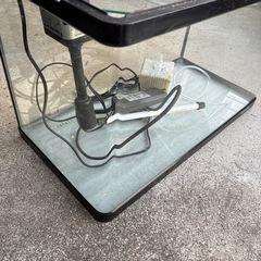 3月31日まで　
水槽　LEDライト　ヒーター　上部濾過器の画像