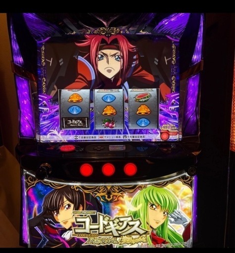 　購入者様決まっております　L南国育ち