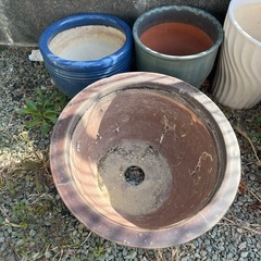 鉢　まとめての画像