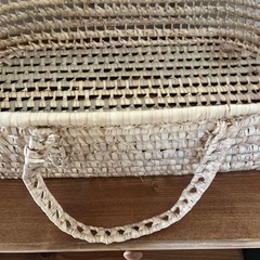 クスブ　モロッコ水草　ベビーかご　ベビークーファンの画像