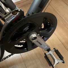 ビアンキの画像