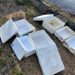 発泡スチロール容器　苗床にの画像