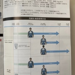 ヒップシート　POGNAE No5の画像