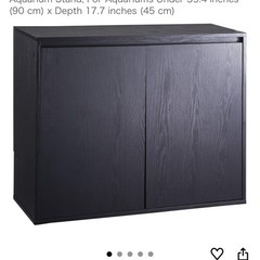 2匹のウーパールーパーを引き取っていただける方募集の画像