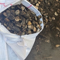 土　小石　土嚢袋　差し上げますの画像