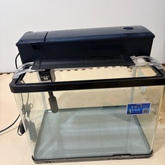 450サイズ🐟水槽セットお譲りします（中古）の画像