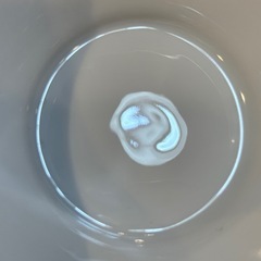 2A8093【フッチェンロイター】メドレー パークレーン チャーミングローズ スープボウル ライオンヘッド 2個の画像