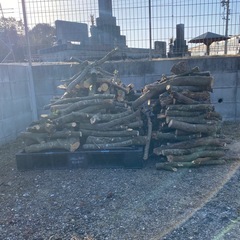 伐採木　紅葉樹　薪　焚き付け の画像