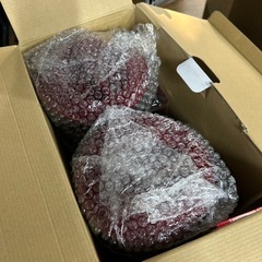 未使用‼️ Zebro　フードディスペンサーの画像