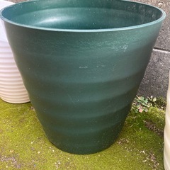 プラ植木鉢(大)の画像