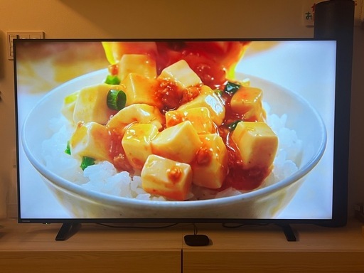 REGZA 55インチ　液晶テレビ