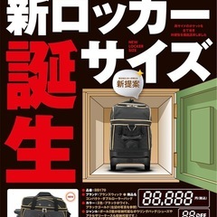 【新品】ボウリングバッグ 2個収納 2ボール ブランズウィック 2ローラーバッグの画像