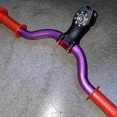 ストライダー レースカスタムの画像