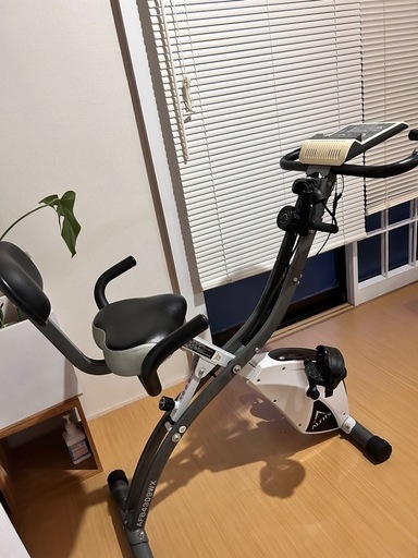 アルインコ（ALINCO）の「コンフォートバイクII AFB4309WX」です。