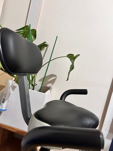 アルインコ（ALINCO）の「コンフォートバイクII AFB4309WX」です。