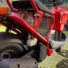 ホンダ　原付　ズーマー　の画像