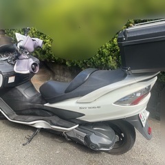 スズキ　スカイウェイブ250 タイプMの画像