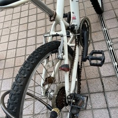 ルイガノ　マウンテンバイク　低学年の画像