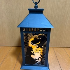 アリスランタン　受渡場所相談可の画像