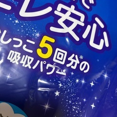 （お話中）オムツ　L 　夜用の画像