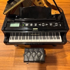 セガトイズ　グランドピアニストの画像