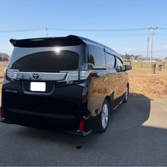 30ヴェルファイア前期の画像