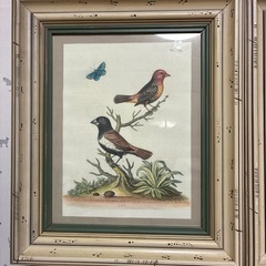 額縁とポスター
の画像