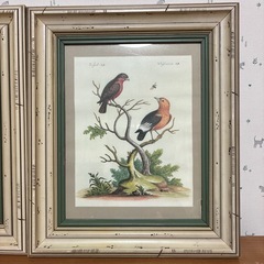 額縁とポスター
の画像