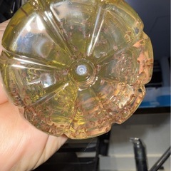 オオミジンコ‼️ 餌に培養に‼️ 300円の画像