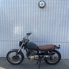 グラストラッカー250の画像