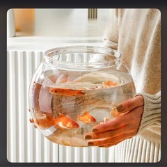 小さい水槽探してます