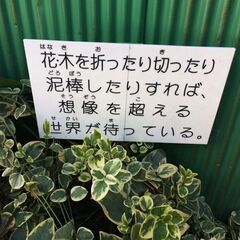 お友達が欲しいです！