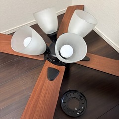 LOWYA シーリングファンライトの画像