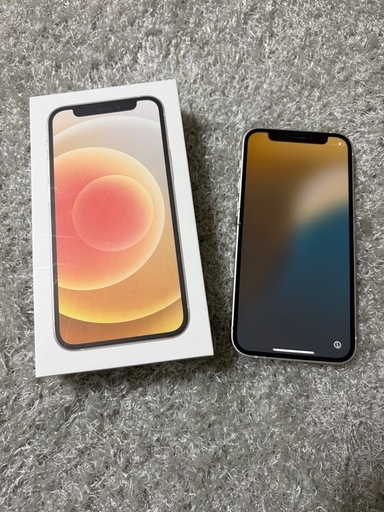 iPhone12 mini