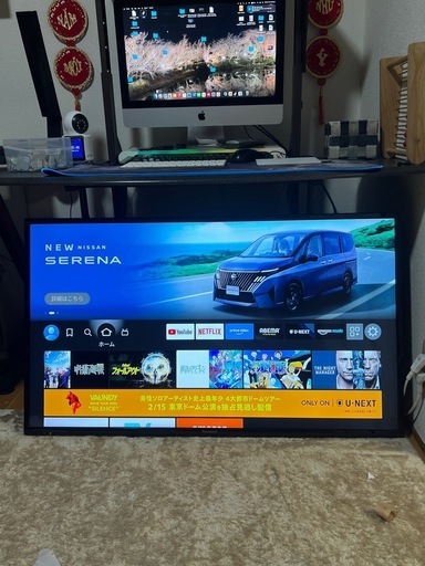 Panasonic TH-43D305HT – 43 inch