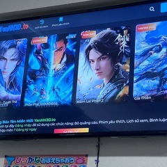 Panasonic TH-43D305HT – 43 inch (ngoctung) 可児のテレビ《液晶