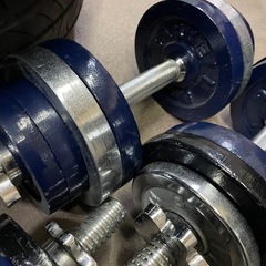 ダンベル　プレート約50キロ　FIGHTING ROAD BARBELL STANDRD ダンベル バー プレート セット 1.25kg 2.5kg 筋トレ の画像